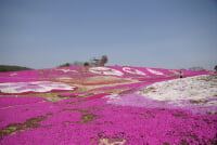 花夢の里 ロクタン