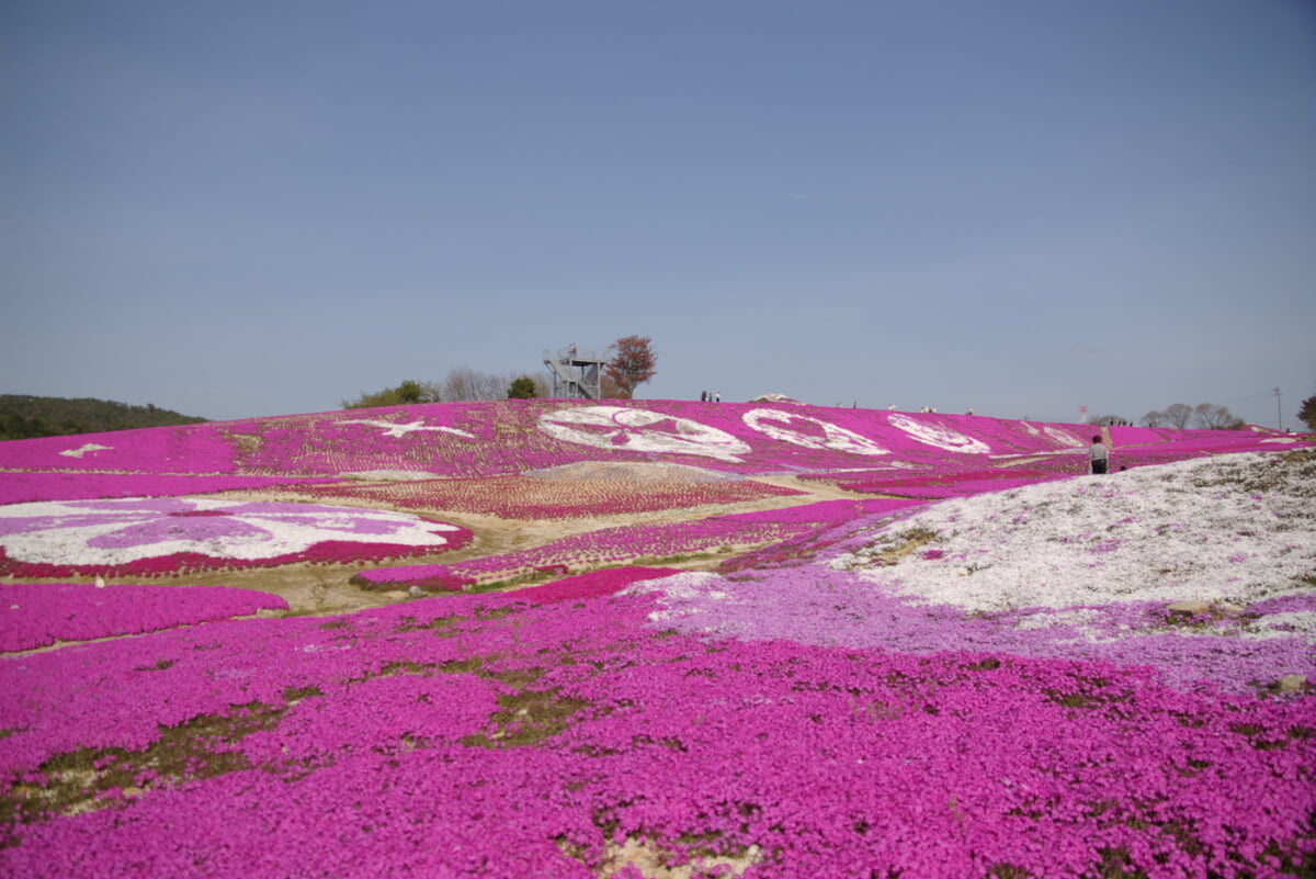 花夢の里 ロクタンの写真1