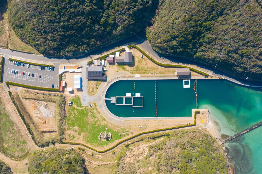 壱岐イルカパークの写真2