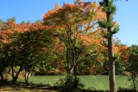 北伊奈ヶ湖 水辺公園