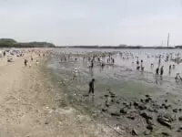 磯子・海の見える公園