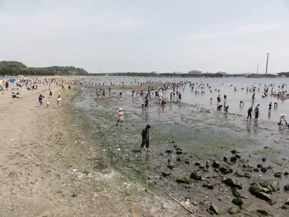 磯子・海の見える公園の写真1