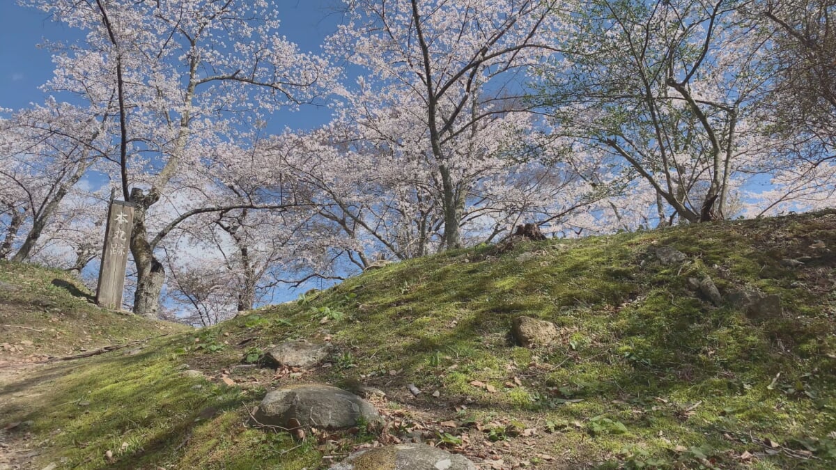 三春城跡の写真2