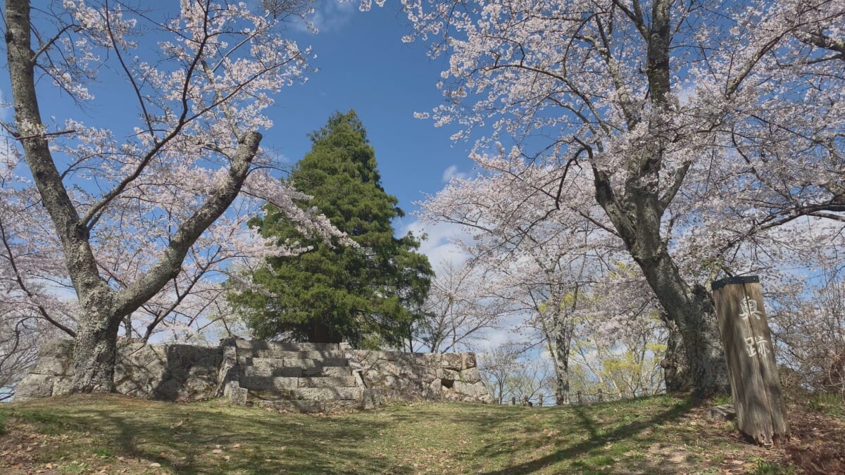 三春城跡の写真3