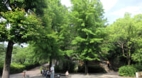 万福寺檜山公園