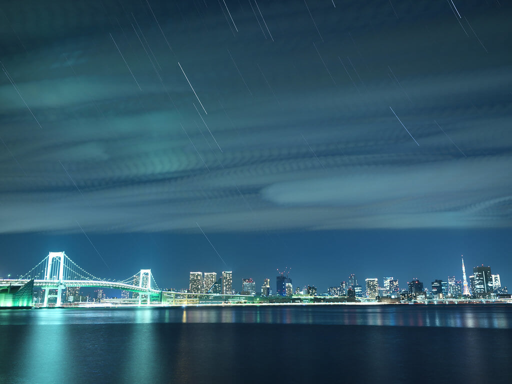 有明北緑道公園の写真2