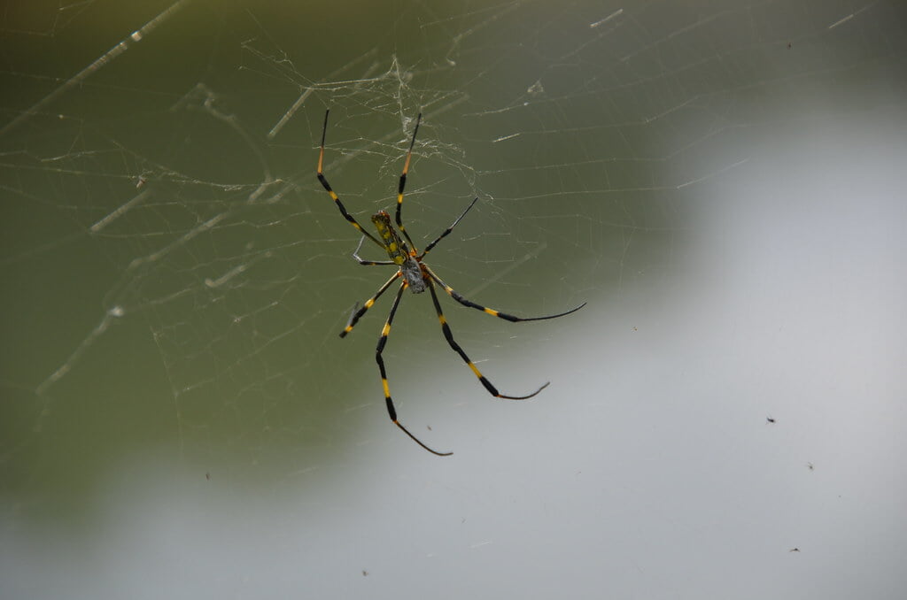 志木市 いろは親水公園の写真4