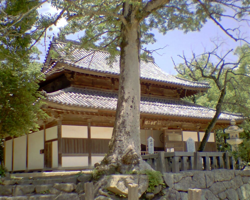 観世音寺の写真1