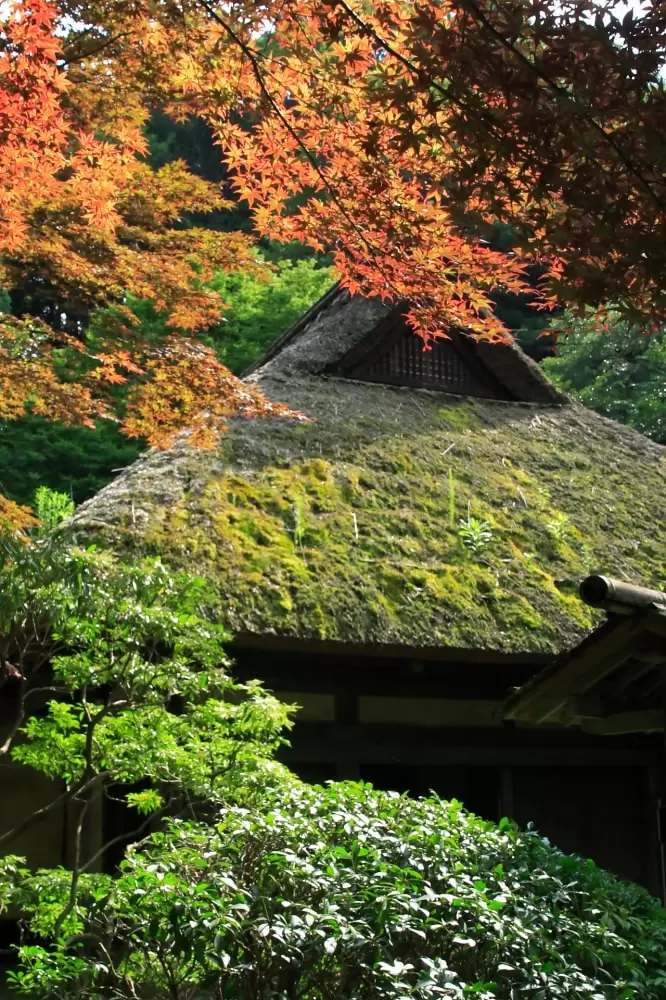 旧・荻野家住宅の写真1