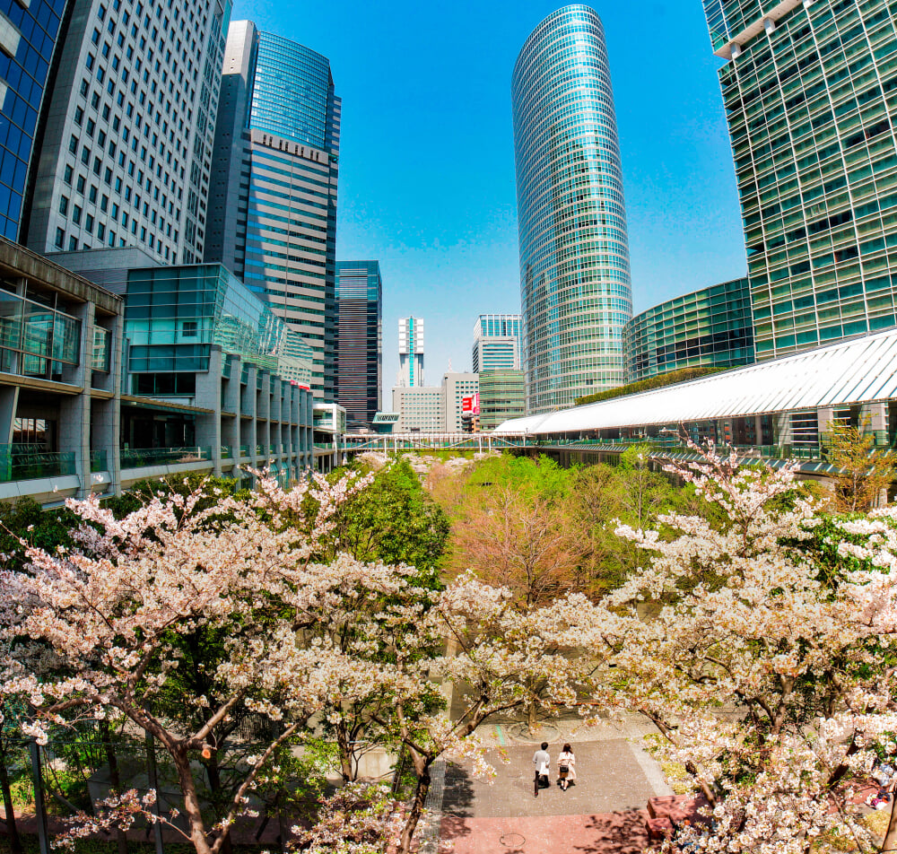 品川インターシティの写真1