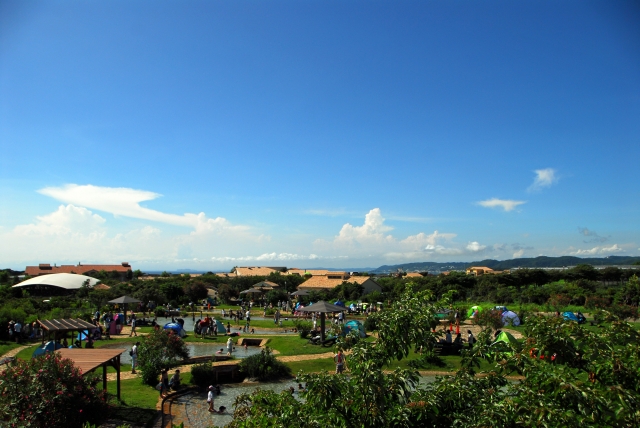 長井海の手公園 ソレイユの丘の写真7