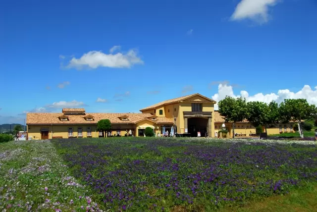 長井海の手公園 ソレイユの丘の写真1