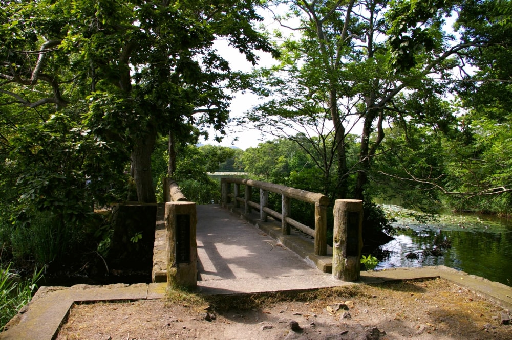 大沼国定公園の写真3