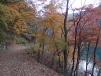 奥多摩湖いこいの路