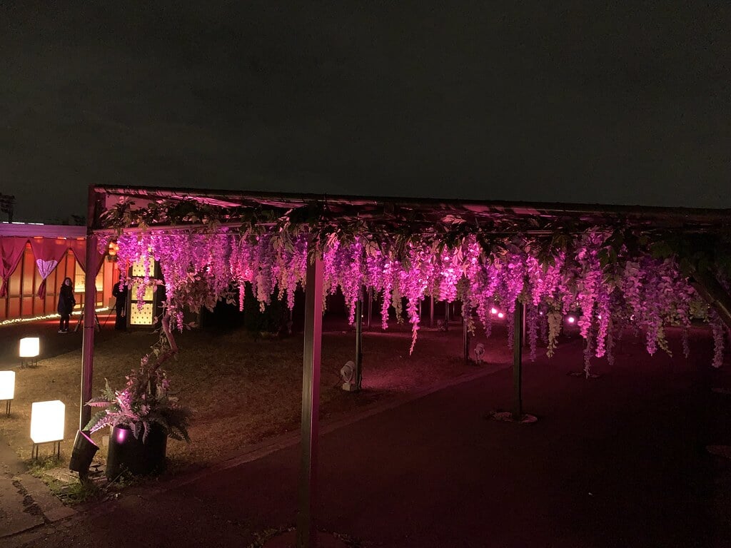 TOKYO MEGA ILLUMINATIONの写真4