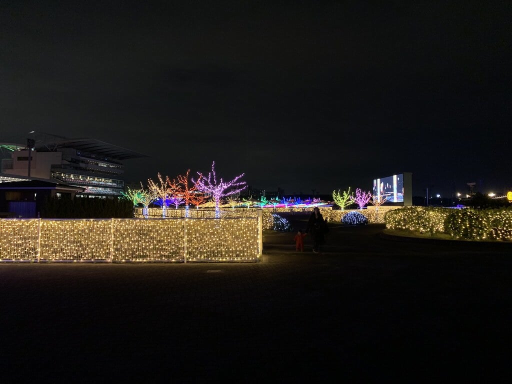TOKYO MEGA ILLUMINATIONの写真6