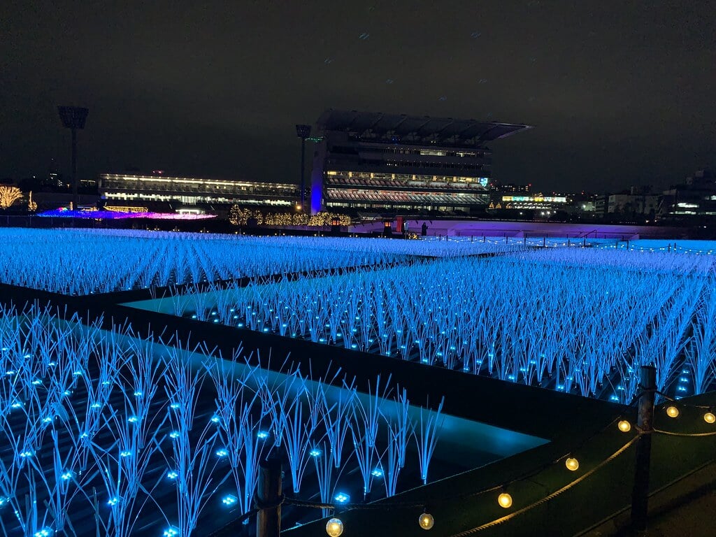 TOKYO MEGA ILLUMINATIONの写真8