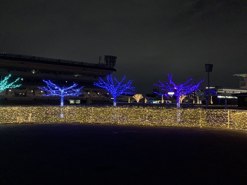 TOKYO MEGA ILLUMINATIONの写真9