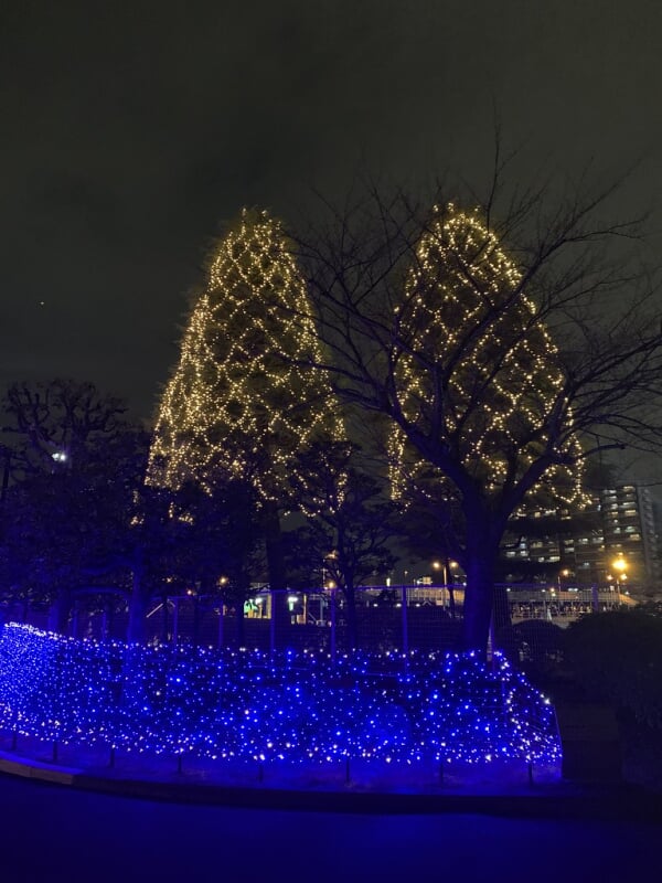 TOKYO MEGA ILLUMINATIONの写真10