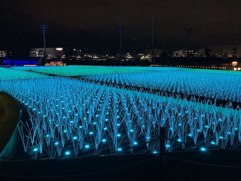 TOKYO MEGA ILLUMINATIONの写真12