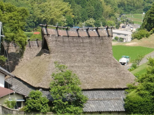 能勢長谷の棚田の写真3