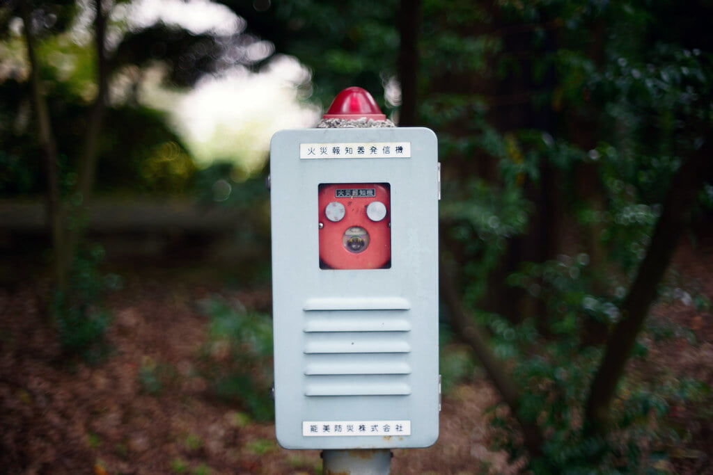 東京国立博物館の写真8