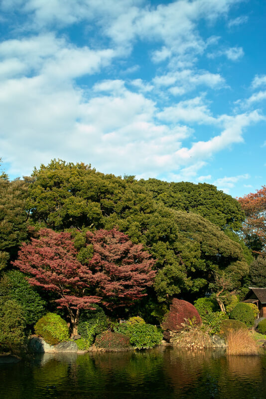 東京国立博物館の写真9
