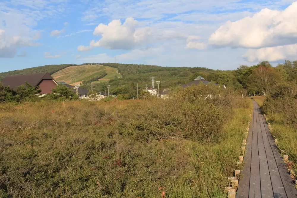 ひるがの高原スキー場の写真1