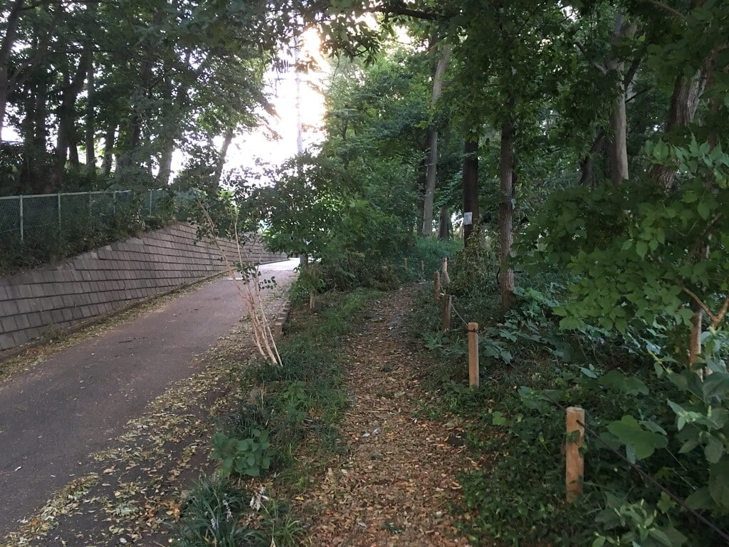 小山台遺跡公園の写真3
