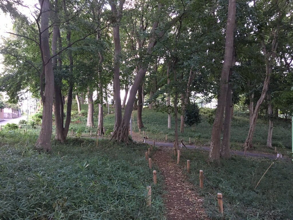 小山台遺跡公園の写真5