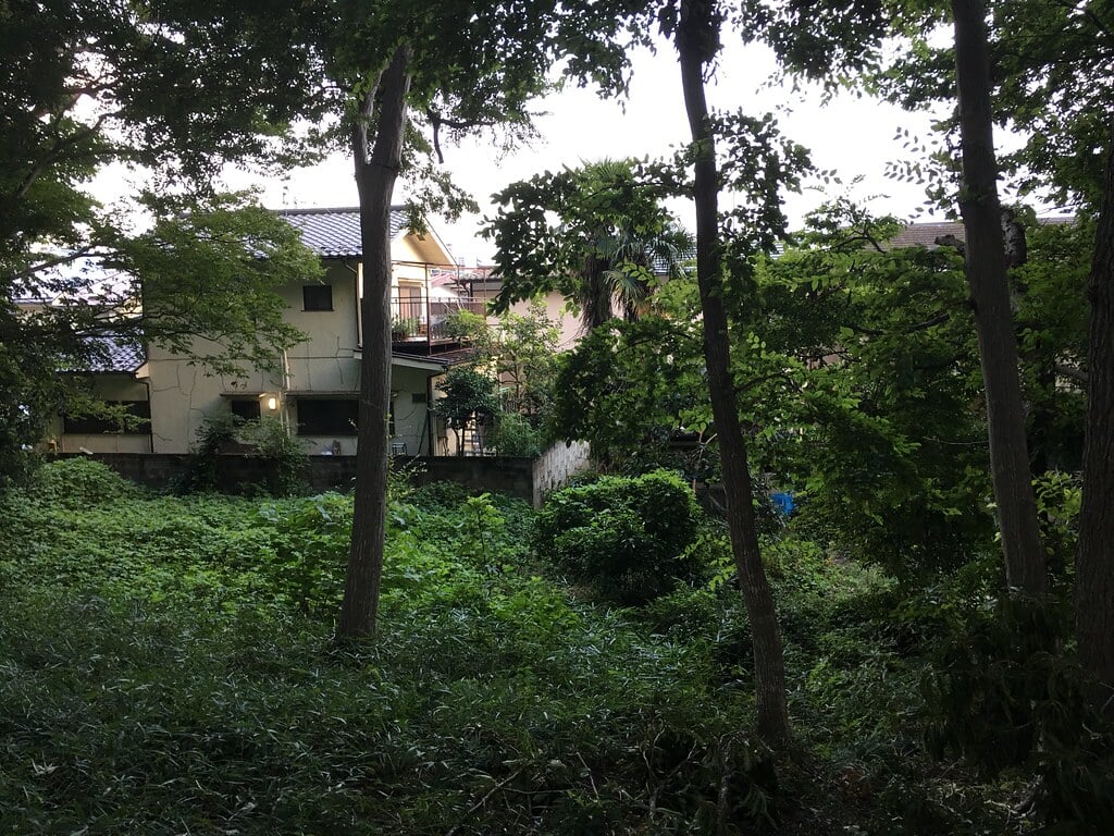 小山台遺跡公園の写真6