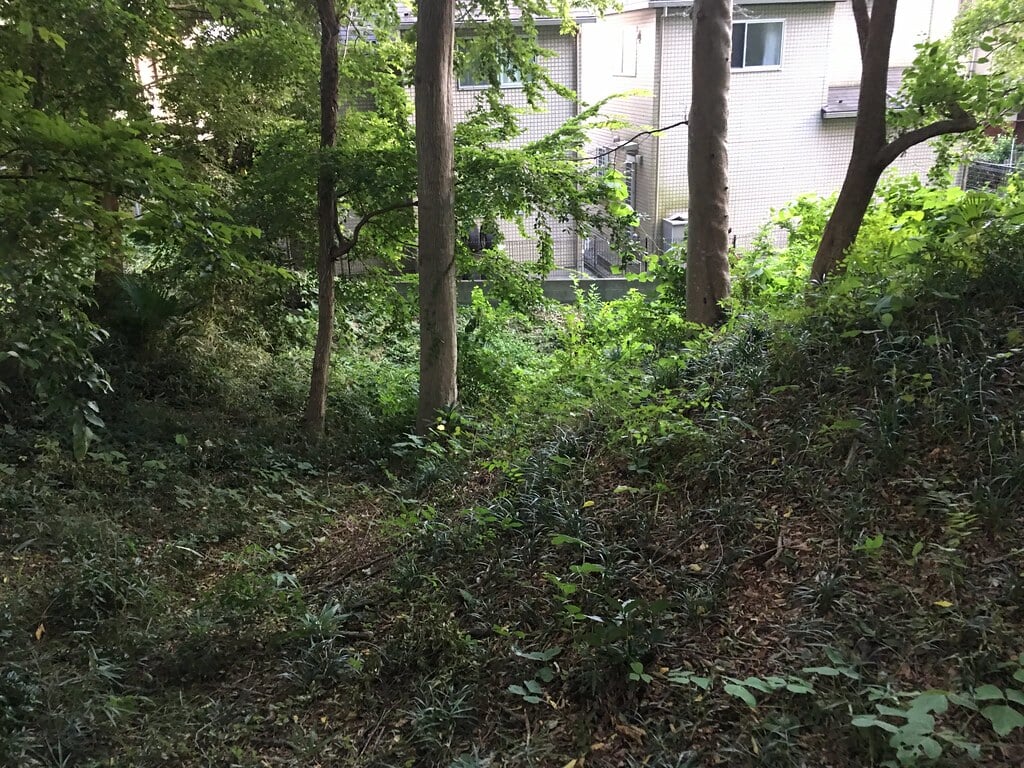 小山台遺跡公園の写真8