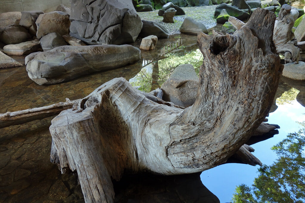 音無親水公園の写真2
