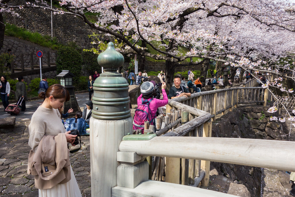 音無親水公園の写真1