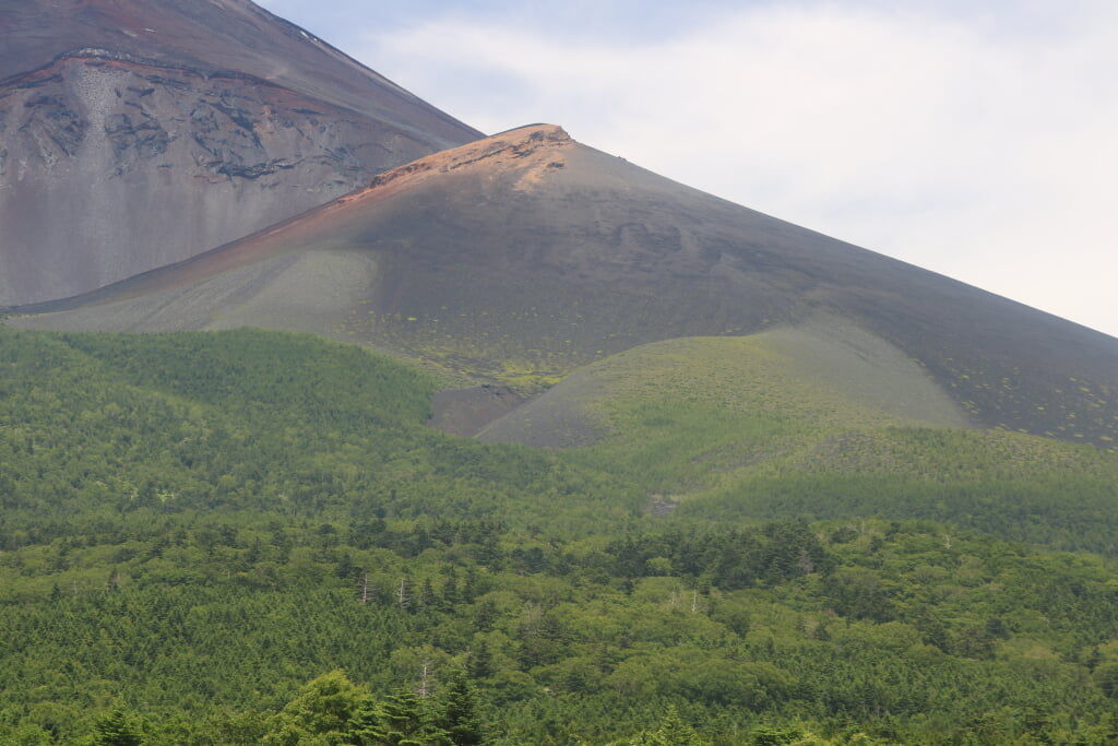 水ケ塚公園の写真3
