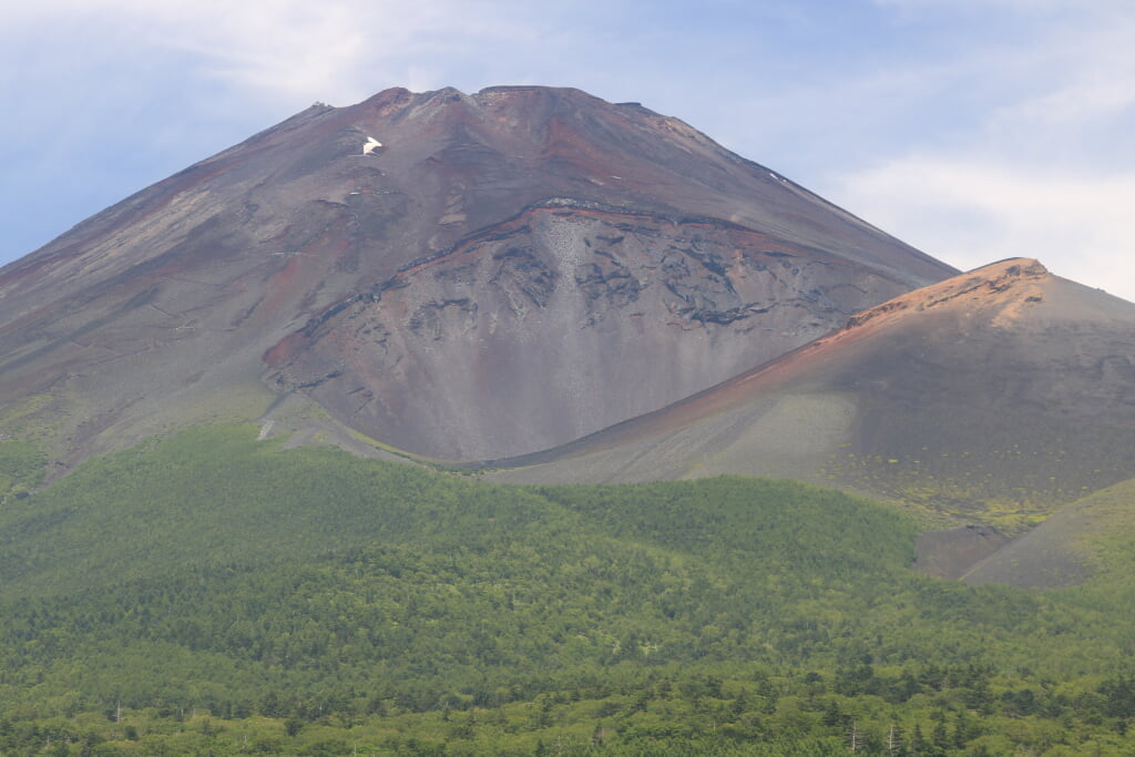 水ケ塚公園の写真1