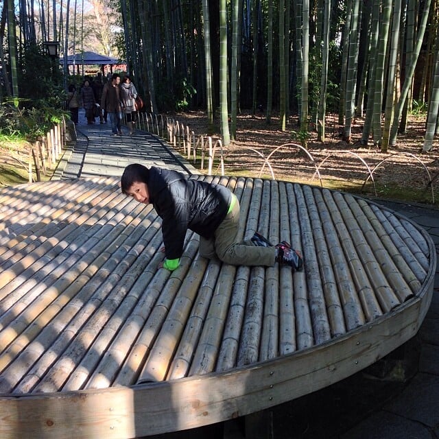 竹林の小径の写真2