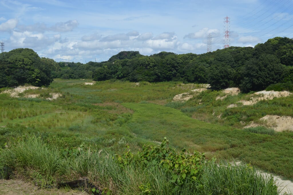 佐布里池の写真3