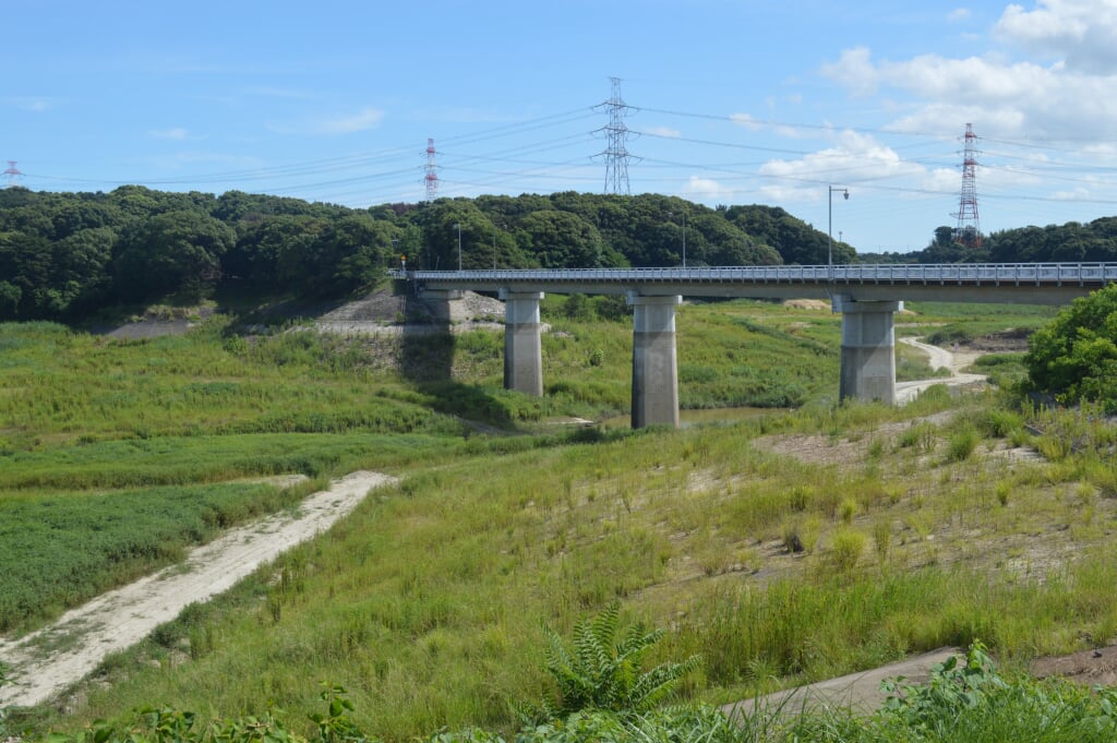 佐布里池の写真5