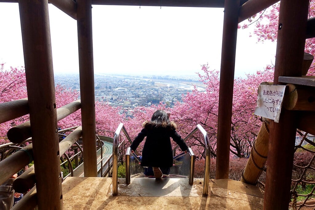 西平畑公園の写真2