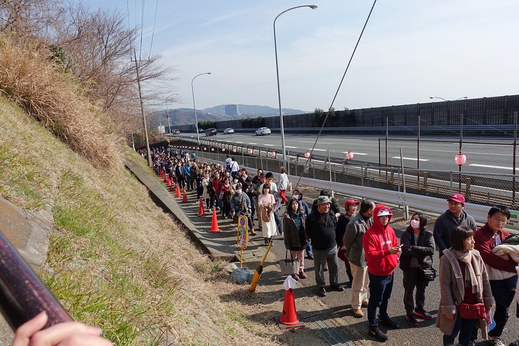 西平畑公園の写真4