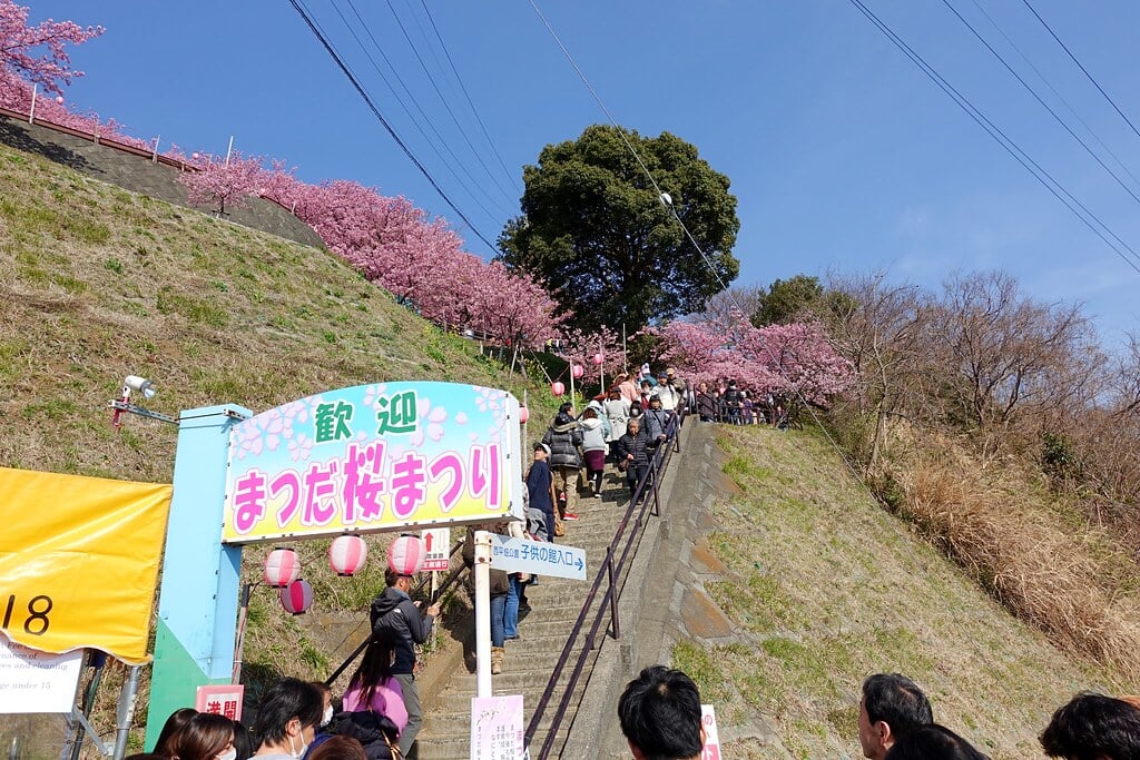 西平畑公園の写真8