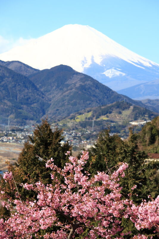 西平畑公園の写真9