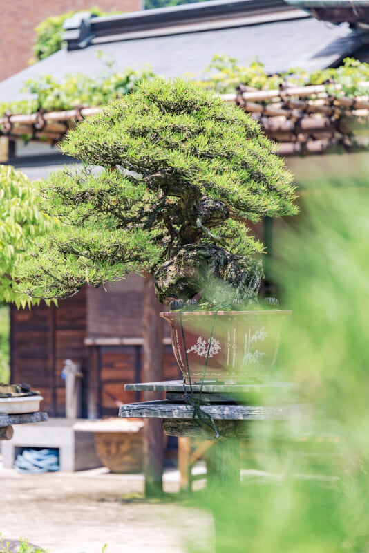 高尾駒木野庭園の写真5