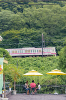 高尾駒木野庭園