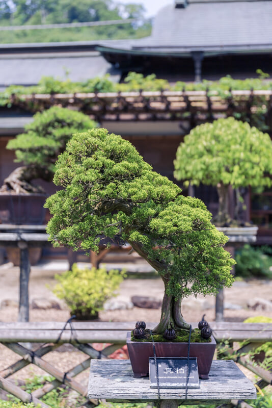 高尾駒木野庭園の写真7