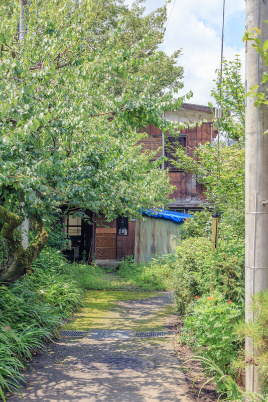 高尾駒木野庭園の写真9