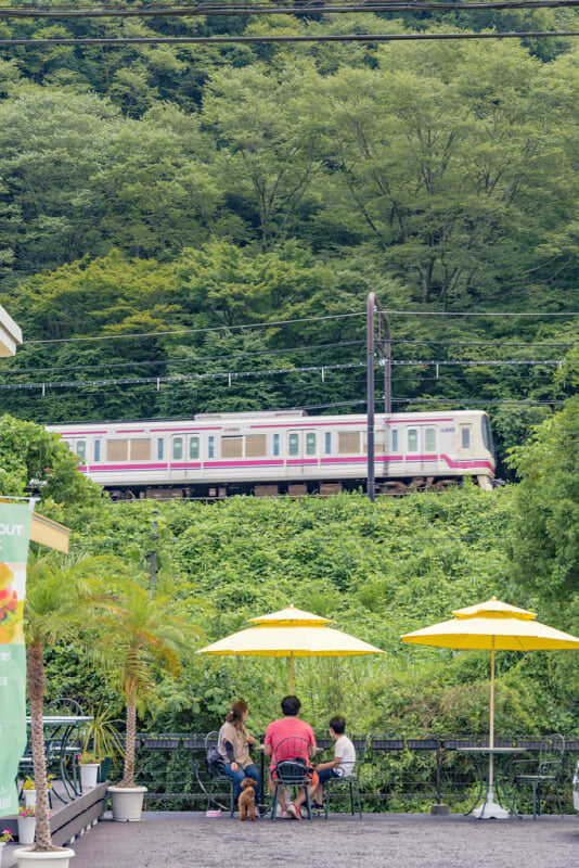 高尾駒木野庭園の写真1