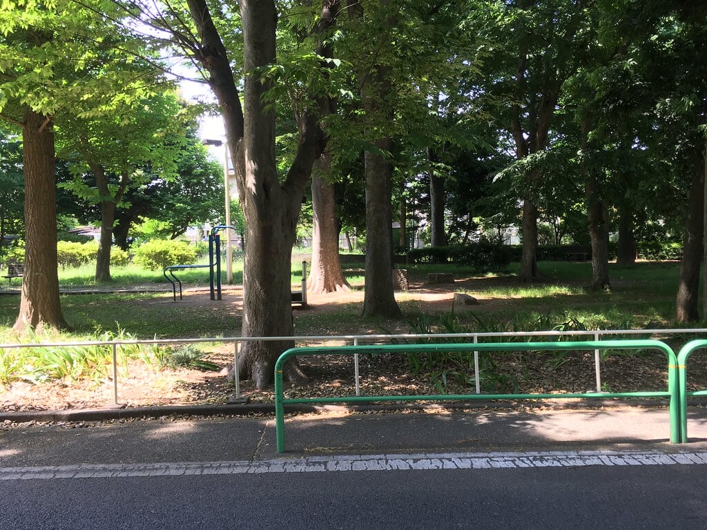大泉公園の写真3
