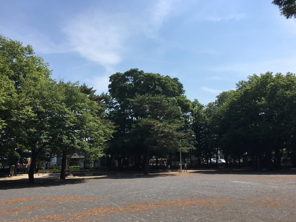 大泉公園の写真4